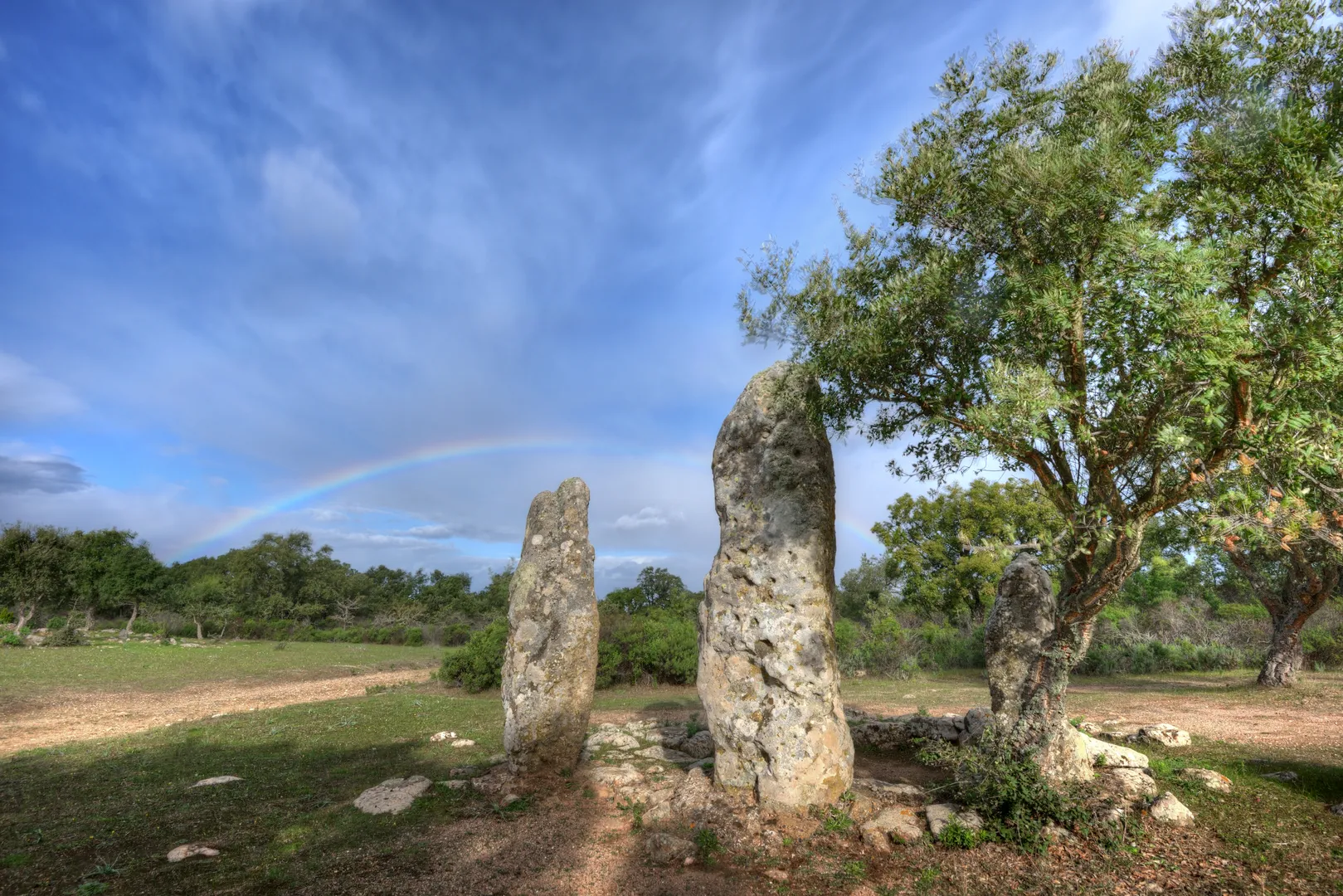 Parco archeologico di Pranu Mutteddu - 1