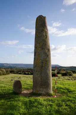 Menhir di Monte Corru Tundu - Mappa del sito